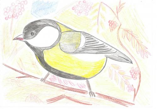 Синицын Данил 6 лет