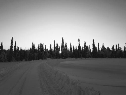 Волков А.Л. - Черно-белая ЗИМА 4