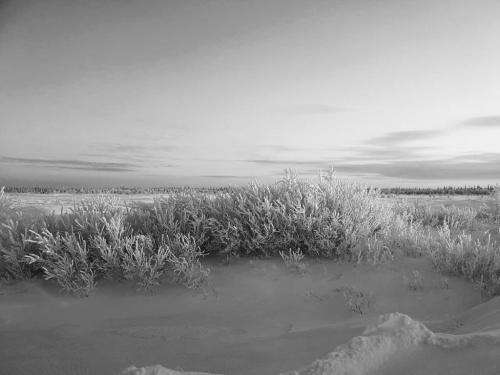 Волков А.Л. Черно-белая ЗИМА  -Приз зрит. симпатий