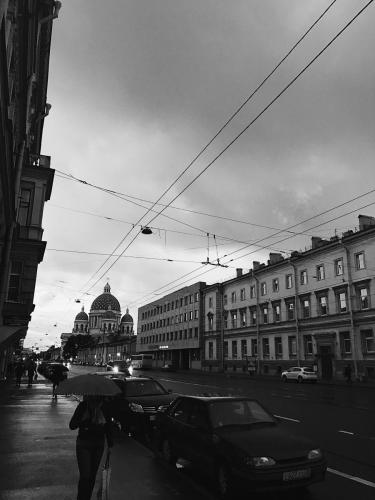 Зеленюк Е.Ю.