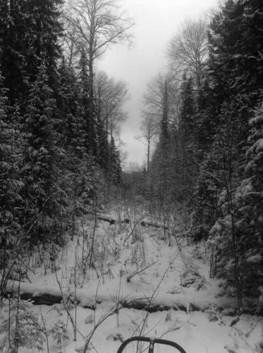 Карасаев З. - 2