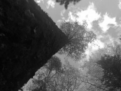 Карасаев З. - 5