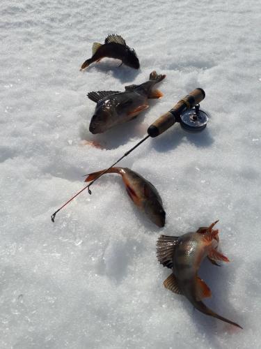 3 оз. Варьтоух Восточно-Правдинское мр весна 2018, Морозов П.Н.нач-к ТО