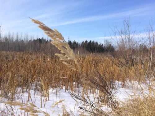 Буржинский А.В. оператор ООУ 3р ЦППН ЗМБ- 2