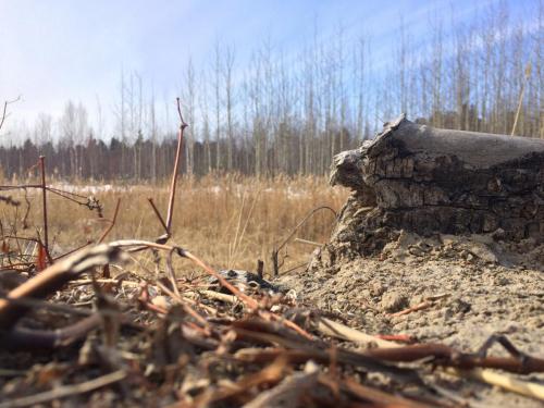 Буржинский А.В. оператор ООУ 3р ЦППН ЗМБ- 5