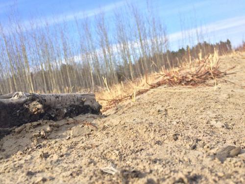 Буржинский А.В. оператор ООУ 3р ЦППН ЗМБ- 6