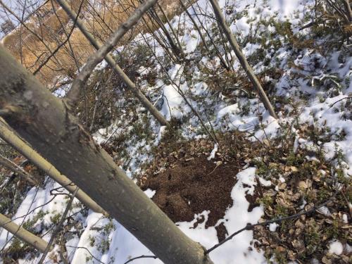 Буржинский А.В. оператор ООУ 3р ЦППН ЗМБ- 8