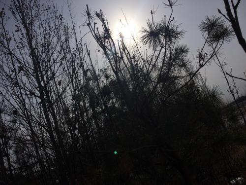 Буржинский А.В. оператор ООУ 3р ЦППН ЗМБ- 9