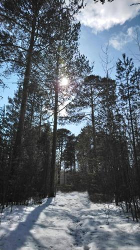 Власов Д.В. , сменный технолог ЦДНГ Унтыгейское м-р - 2