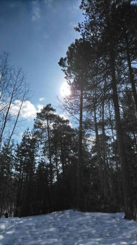 Власов Д.В. , сменный технолог ЦДНГ Унтыгейское м-р - 5