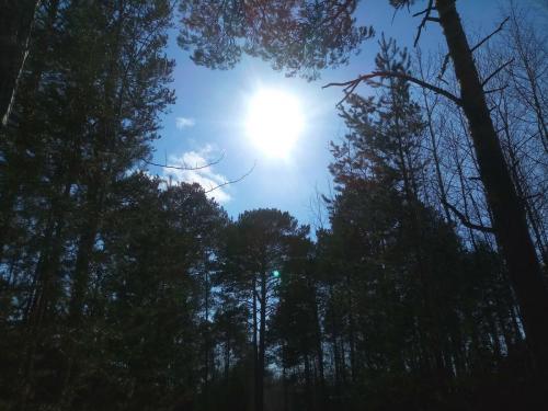 Власов Д.В. , сменный технолог ЦДНГ Унтыгейское м-р - 6