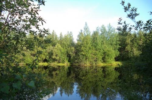 Власов Д.В. сменный технолог ЦДНГ Унтыгейское м-р- 1