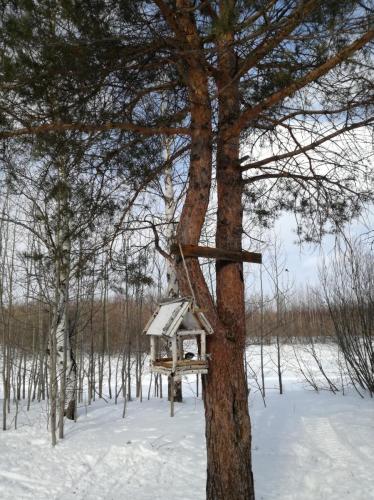 Лыжная прогулка, Деренчук Г.Н., специалист ОРП